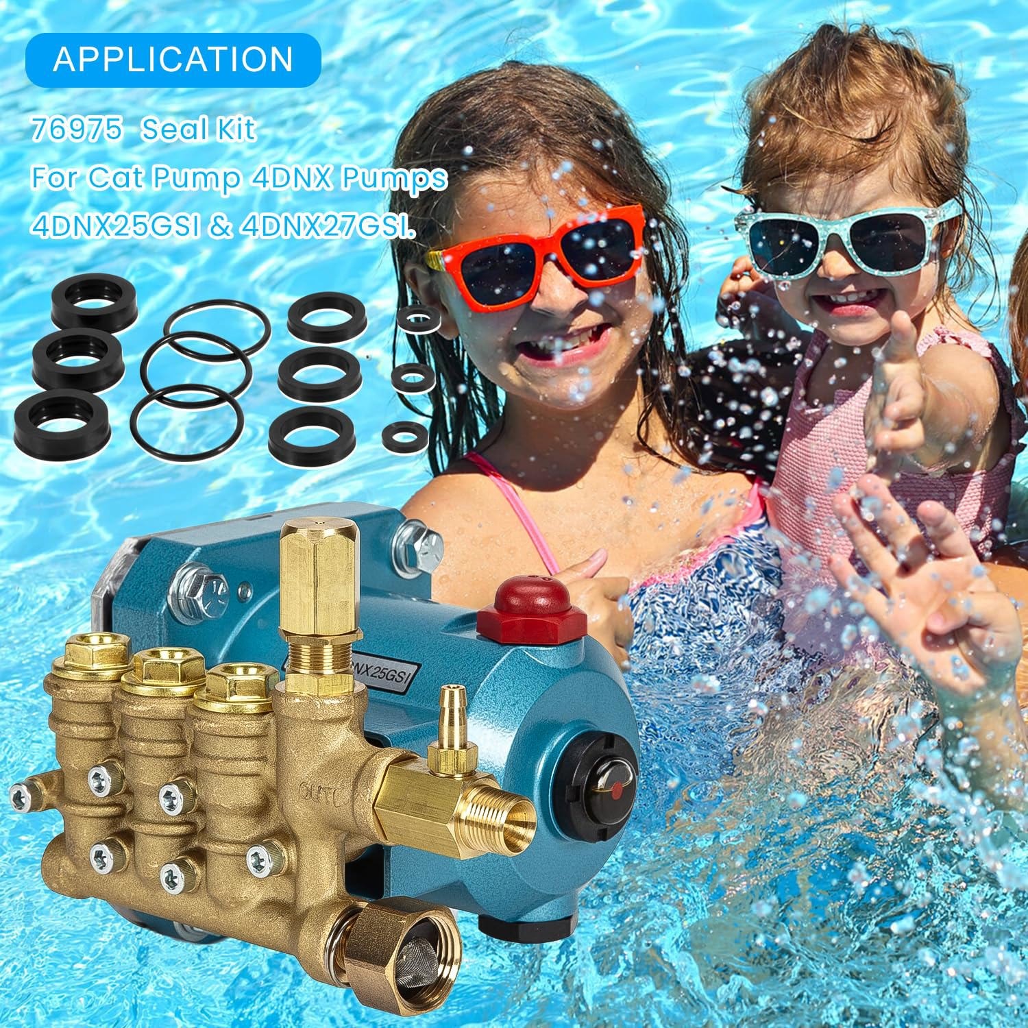 76975 Seal Kit 12Pcs For Cat Pump 4DNX Pumps 4DNX25GSI 4DNX27GSI CAT Seal Kit