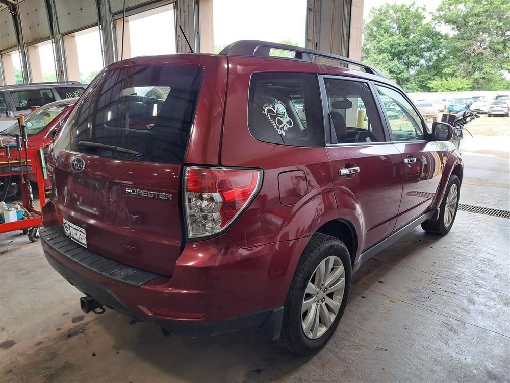 2011 Forester Jack Sku#4228777