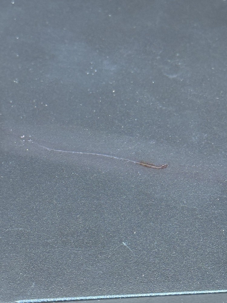 Russound XStream XSource Streaming Audio Player. Power Cable Incl. PLEASE READ.