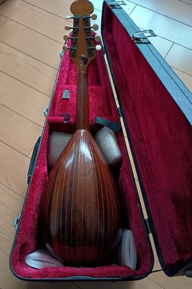 Wooden mandolin 8 strings with hard case