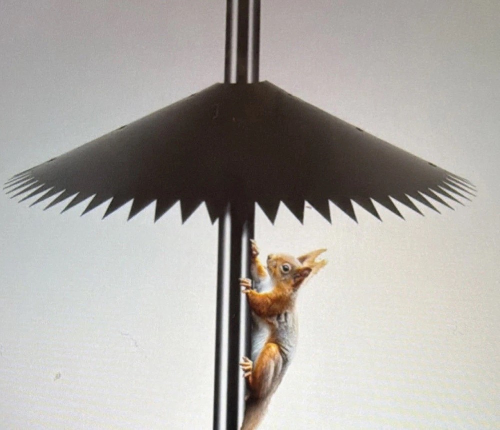 Squirrel Baffle Black