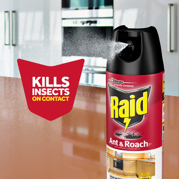 Raid® Ant & Roach Killer 26, Fragrance-free Bug Spray, 17.5 Fl. Oz. Multi Count.