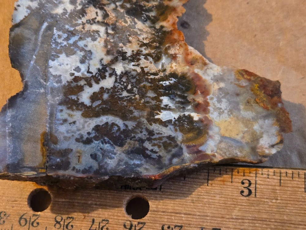Stunning Plume Agate Slab specimen