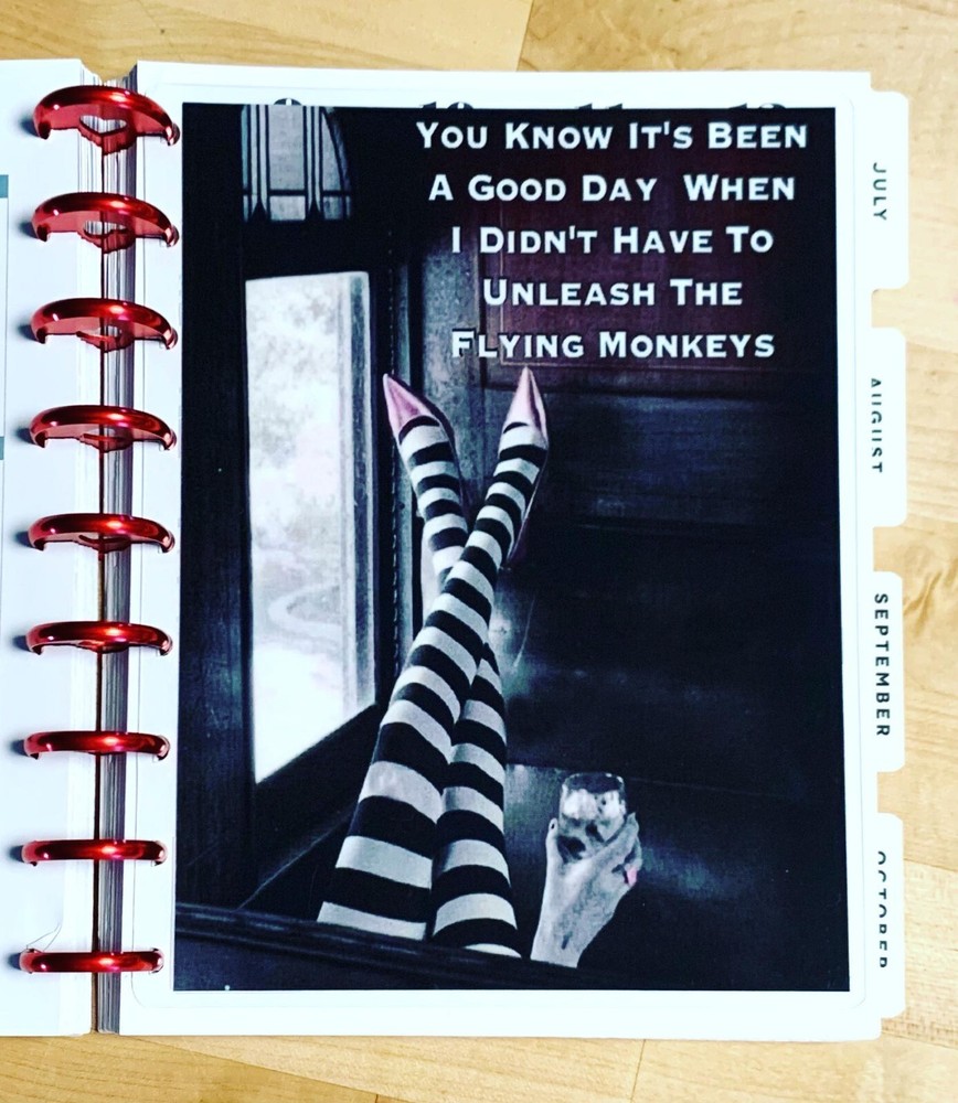 Flying Monkeys Dashboard Insert for use with a Classic HAPPY Planner~