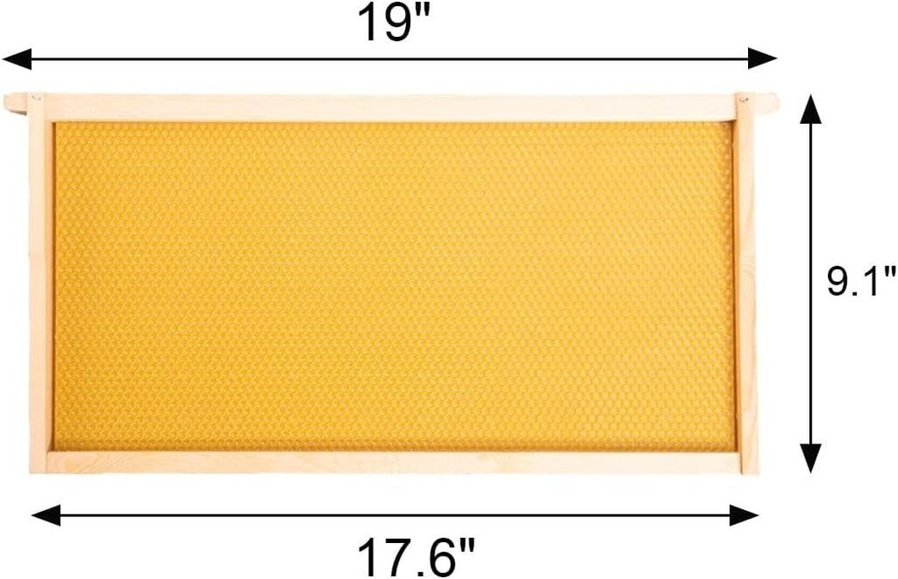 10-Pack Beeswax Coated Beehive Frames for Deep Brood Boxes - Easy Assembly