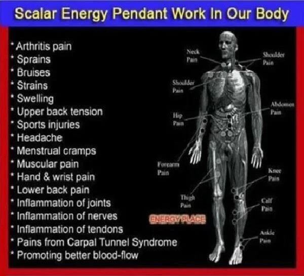 Bio Disc Glass Light Refracting Pendant