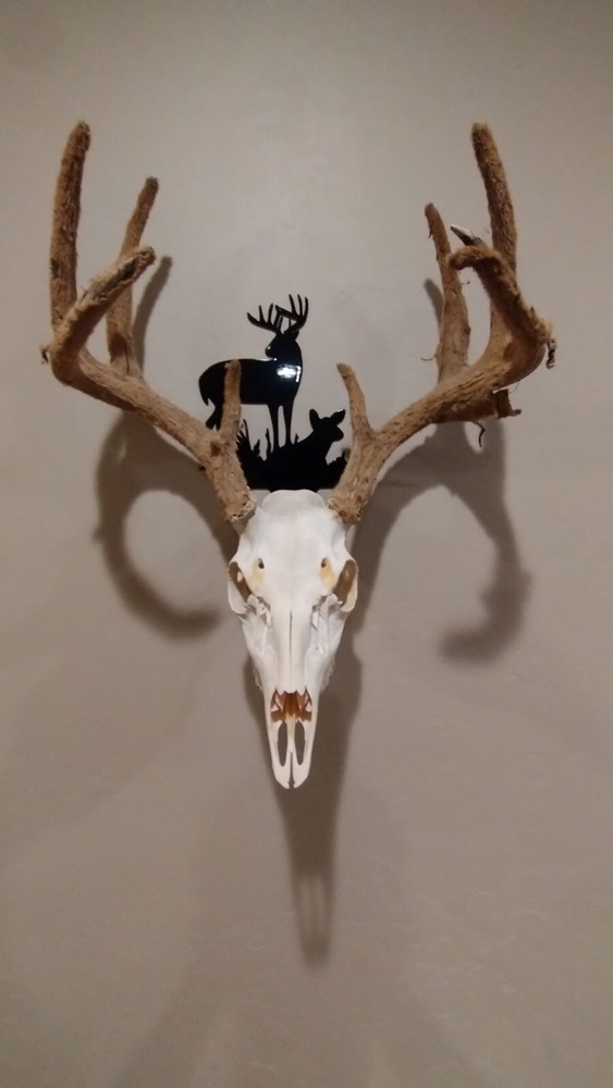Deer Skull Hanger Black