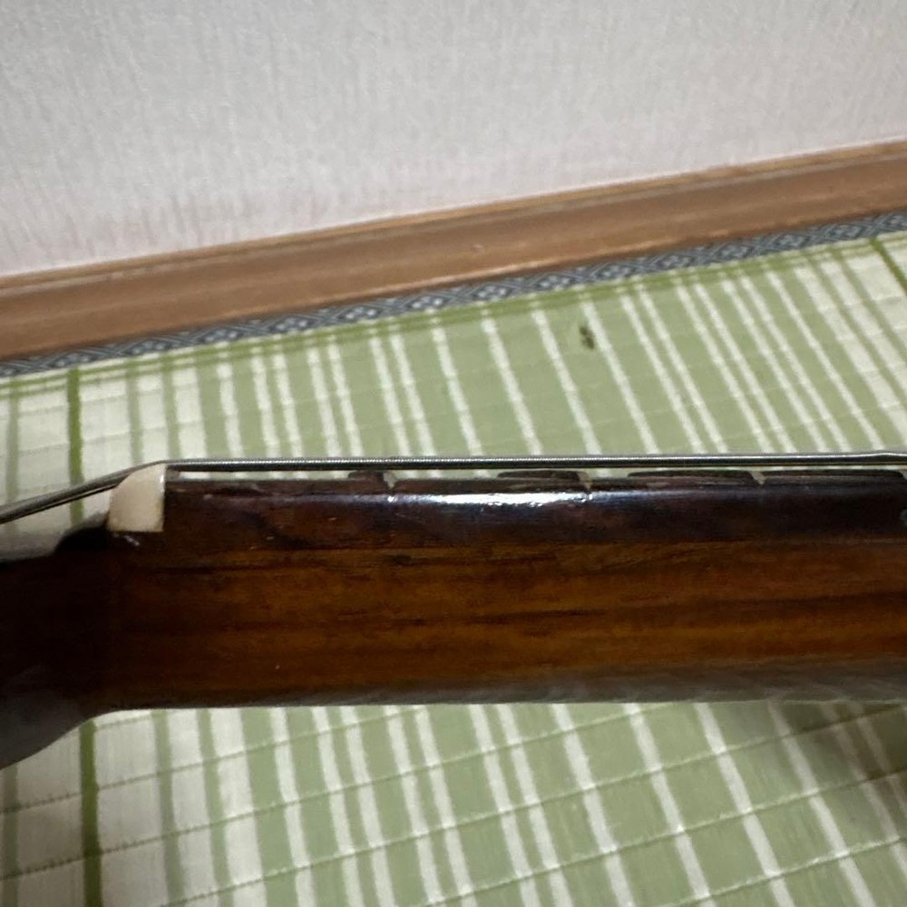 Raffaele Terada Musical Instruments High End Mandolin RM-3 String Guitar