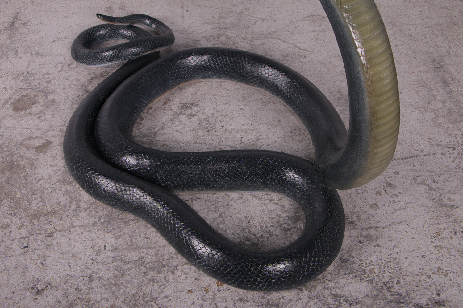 King Cobra Snake Life Size Resin Statue Jungle Decor Safari Reptile Display Prop