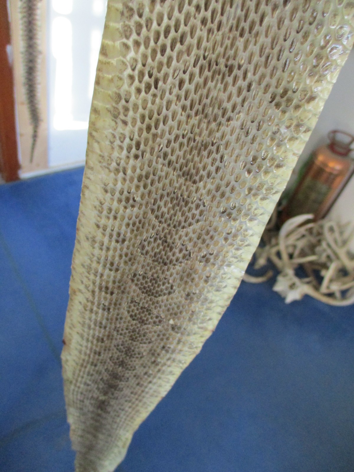 rattlesnake skin prairie rattle snake hide SOFT TANNED wrap pen blanks 34 in S2