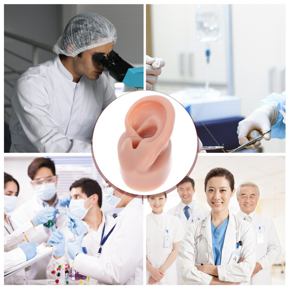 Simulation Human Ear Model ear model for teaching Ear Model Silicone Ears