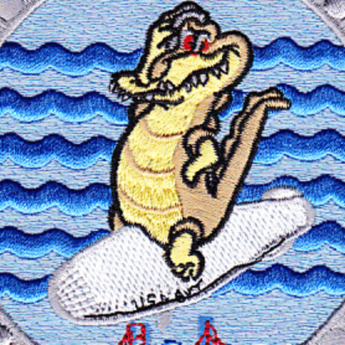 ZP-871 Air Patrol Squadron Patch