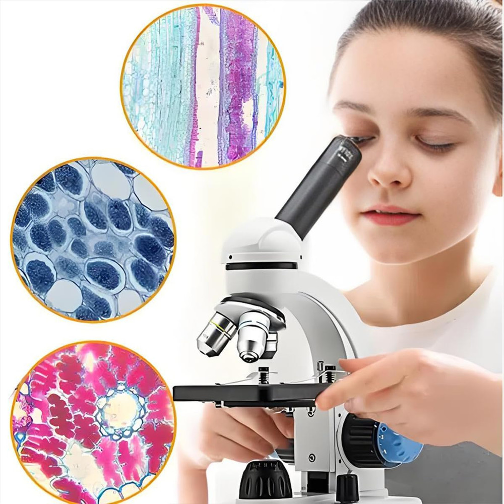 Microscope Slides and Covers – 50 Blank Glass Slides for Microscope