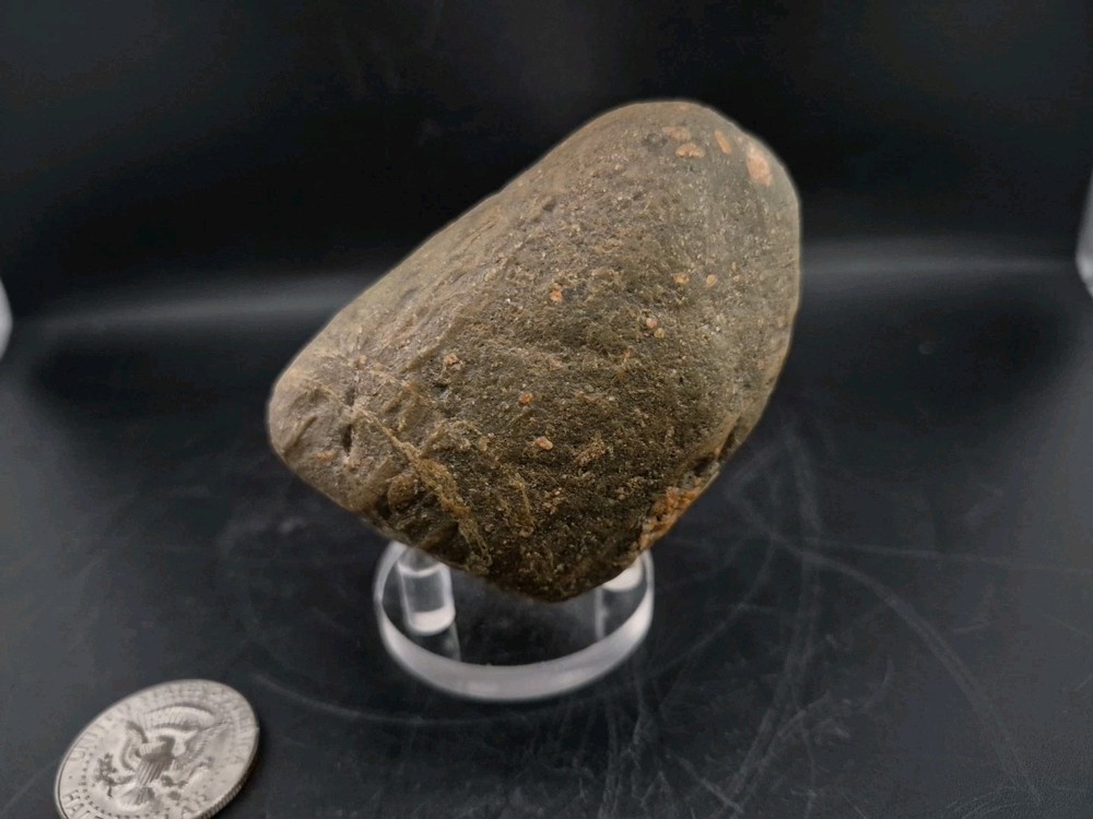 Real Permineralized Dinosaur Half Egg Embro