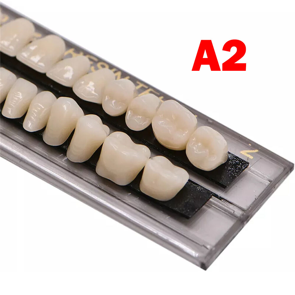 Dental Acrylic Resin Denture Shade A2 A3 Upper Lower Full Set False Teeth