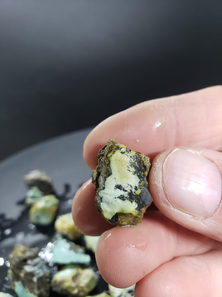 Nevada Gecko Variscite Rough 1/4 Lb