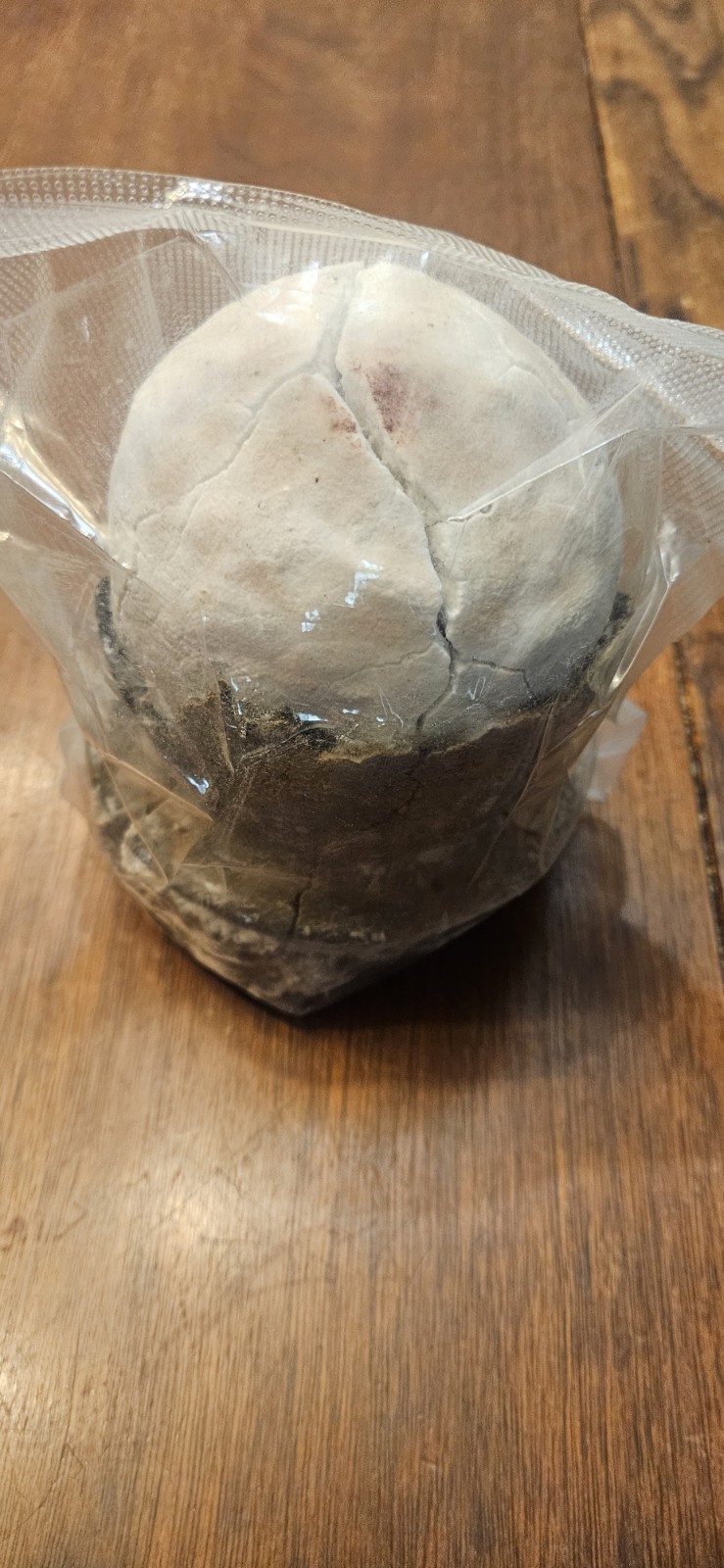 Asin Tibuok Sea salt  Dino Egg, Artisana Ea Salt, Bohol Philippines