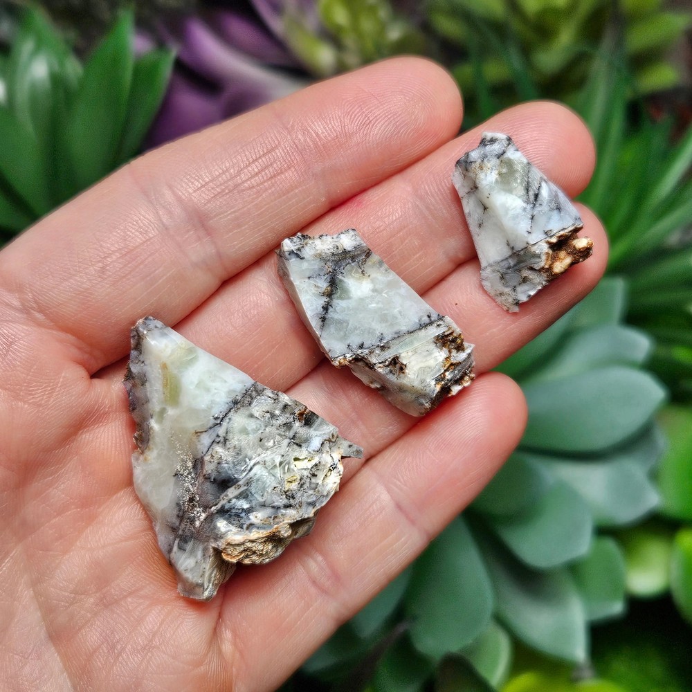 Mount Shasta Opal