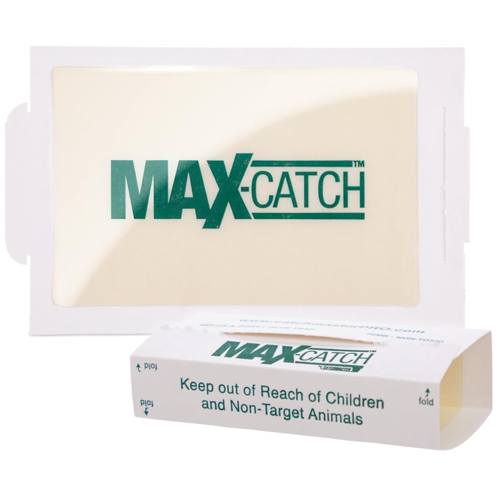 Max-Catch 72pk Mouse & Insect Glue Trap