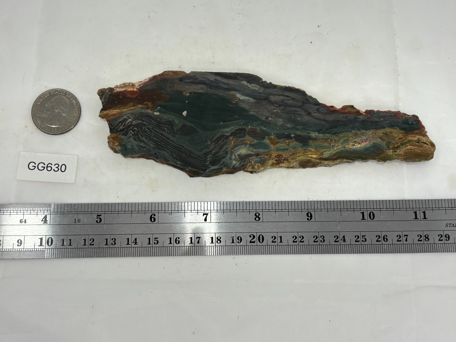 Gary Green Caldera Freedom Jasper Slab Cabbing Lapidary Combo Ship Avail