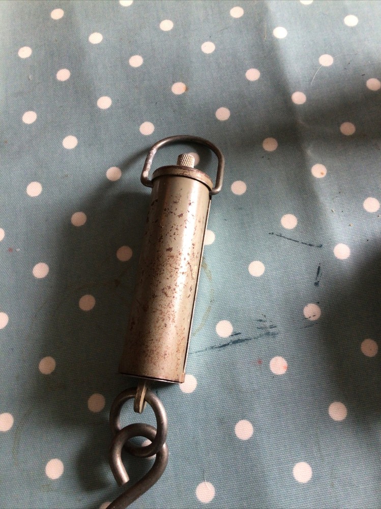 Salter Pocket Balance