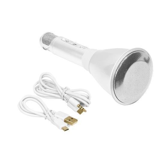 Bluetooth Karaoke Microphone Speaker System with Wireless Megaphone-Style Mic