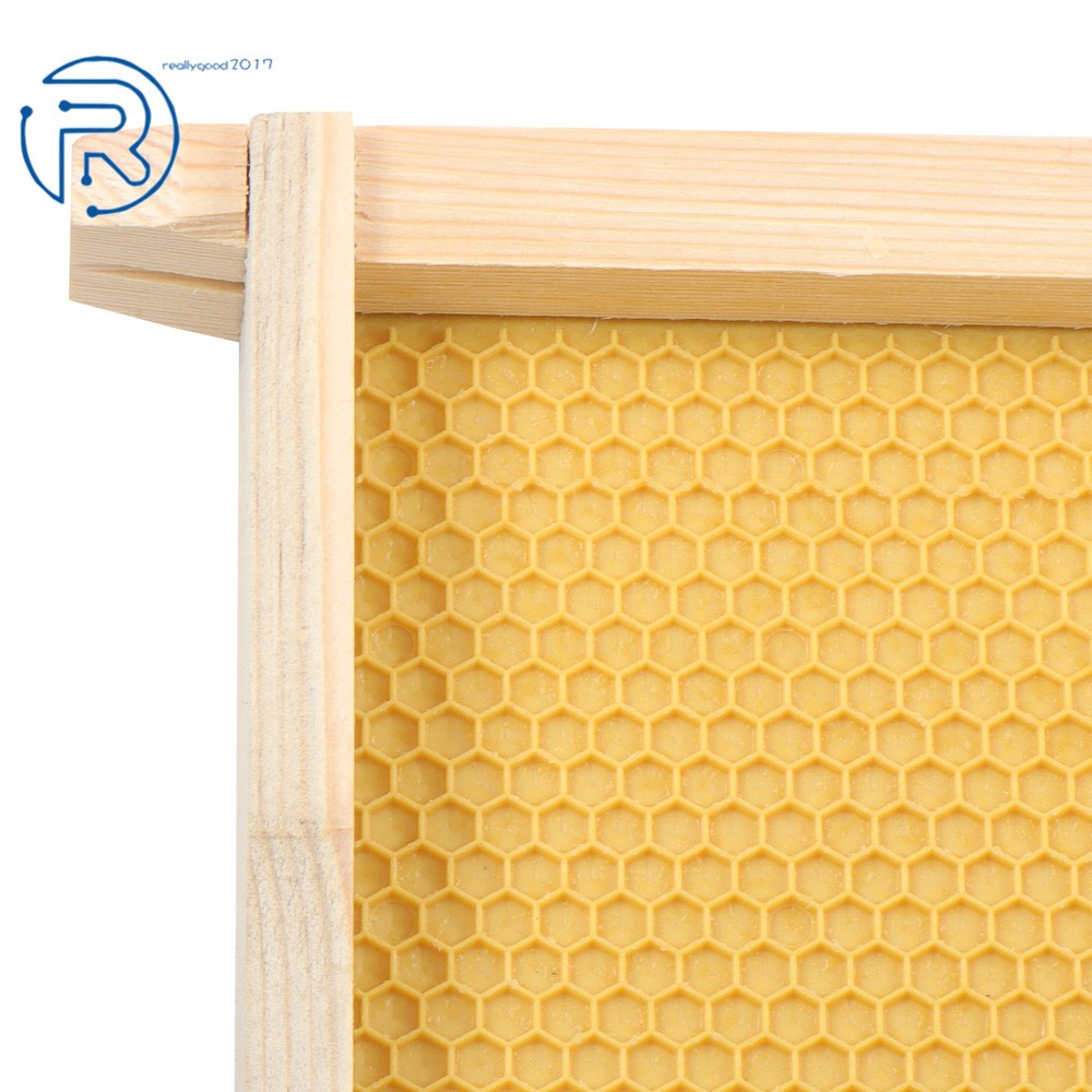 Beeswax Coated 4 Layer 10 Frame Bee Hive Includes Beehive Frames and Foundations