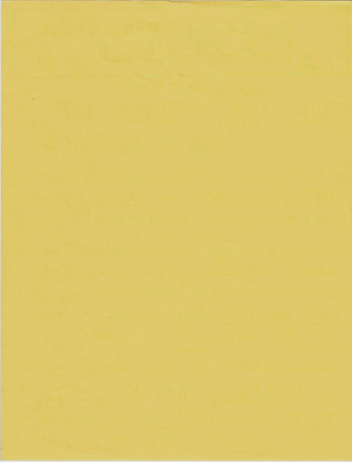 Black Nationalism~1979 African American Separatist Organization Flyer~R.N.A.