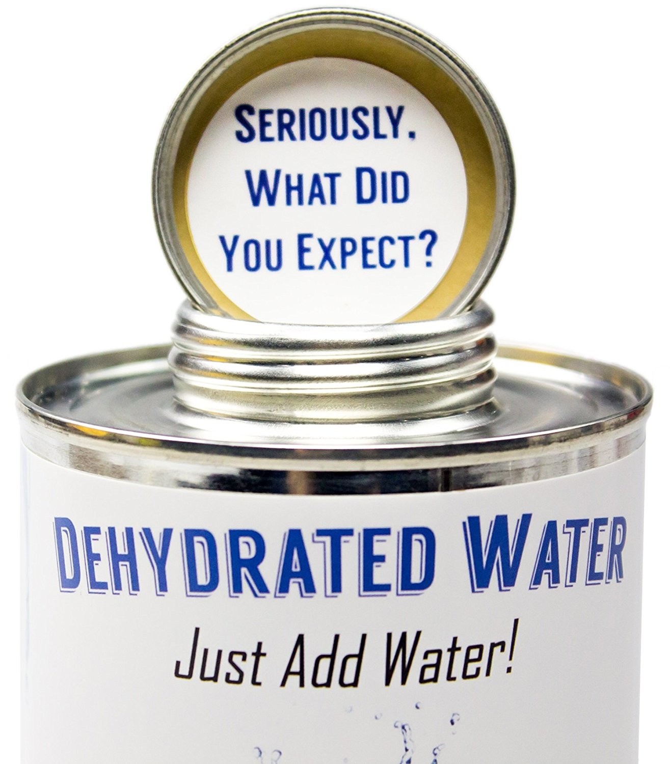 Dehydrated Water 16Oz Empty Can Funny Gag Gift or Joke Prank by Witty Yeti