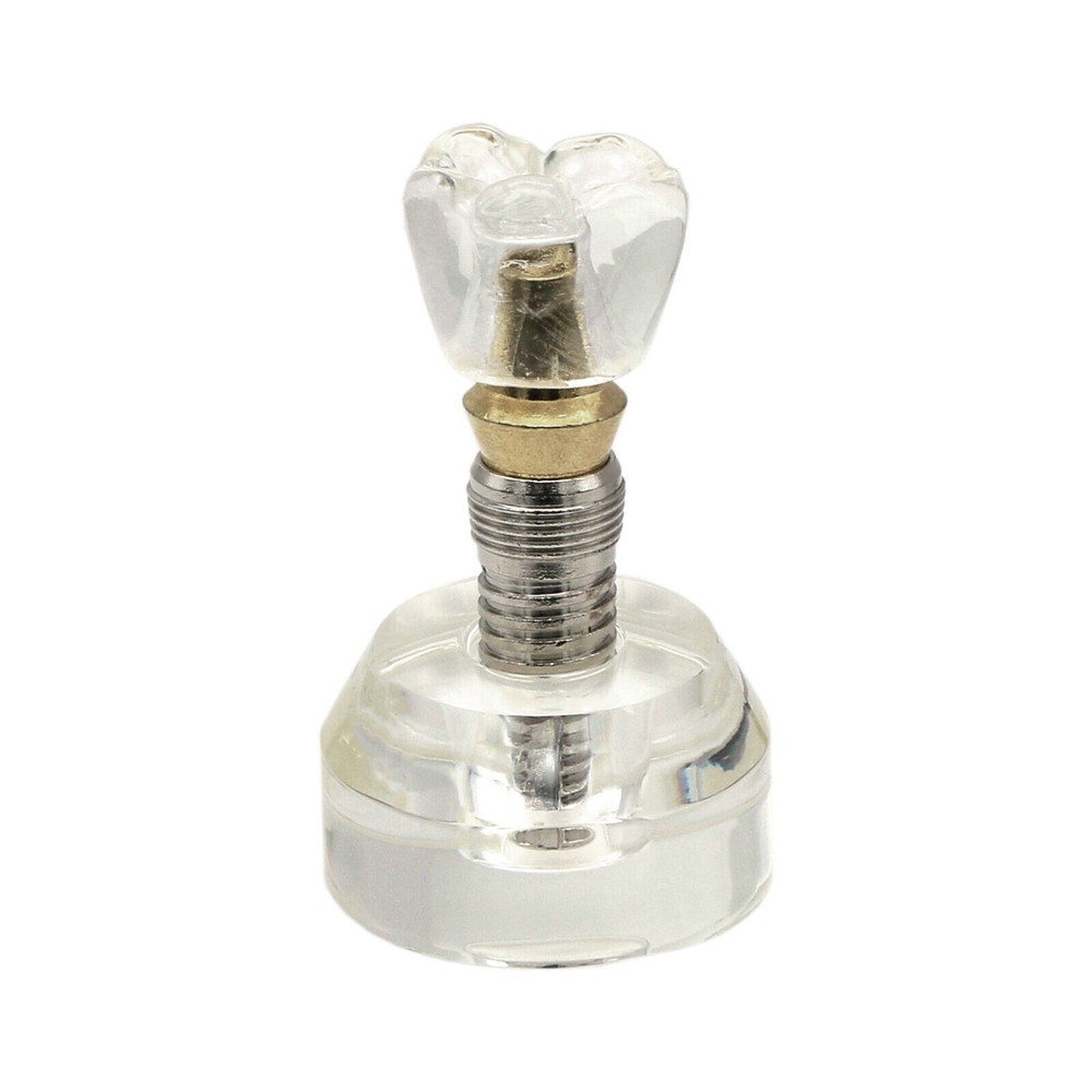Dental Implant Model Demonstration Teeth Study Teach Models Detachable M2020
