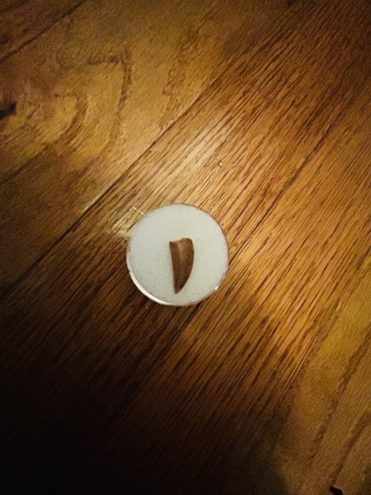 Fossil Raptor Tooth