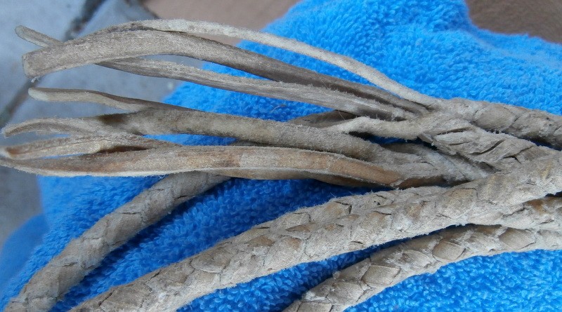 Vintage Ranch Custom Braided Rawhide Horse Bridle Split Reins