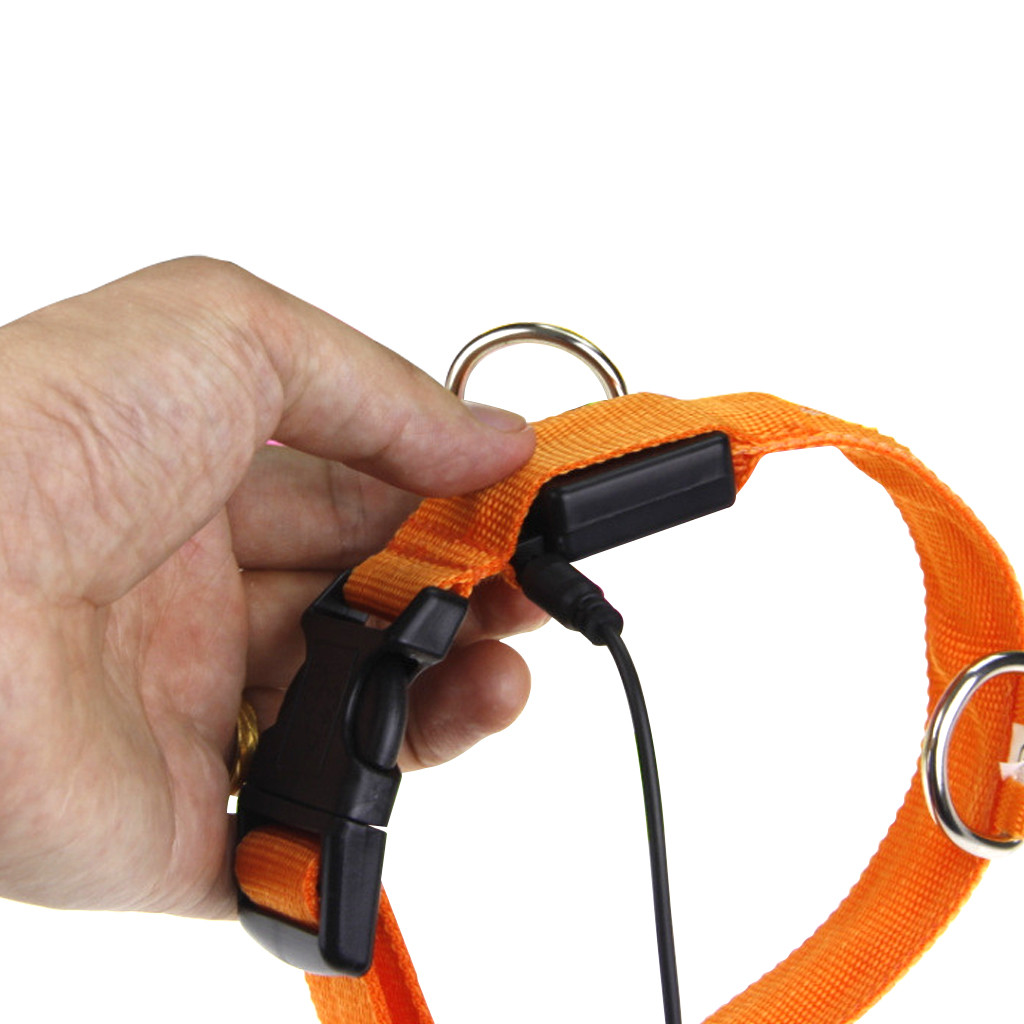 RECHARGEABLE USB LED Dog Pet Light Up Safety Collar Night Glow Adjustable Bright
