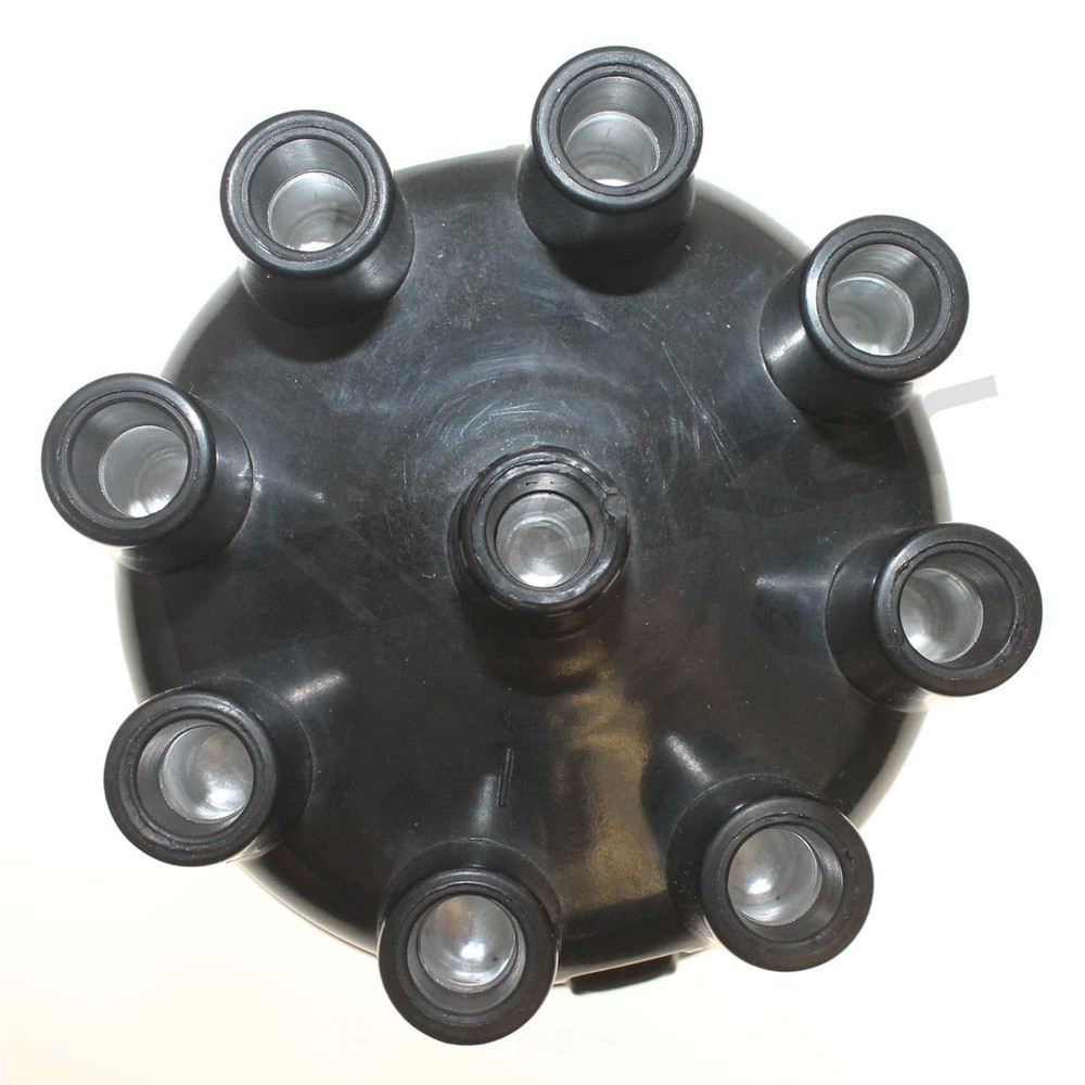 Dist Cap Walker Products 925-1014