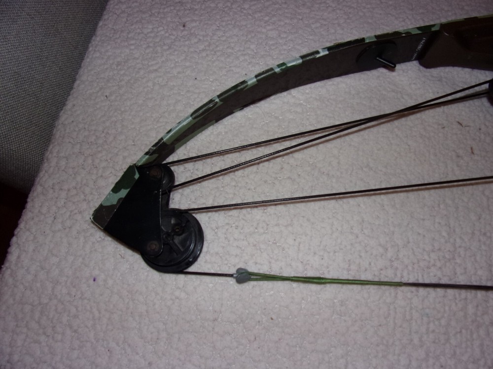 Bear Whitetail Hunter Compound Bow