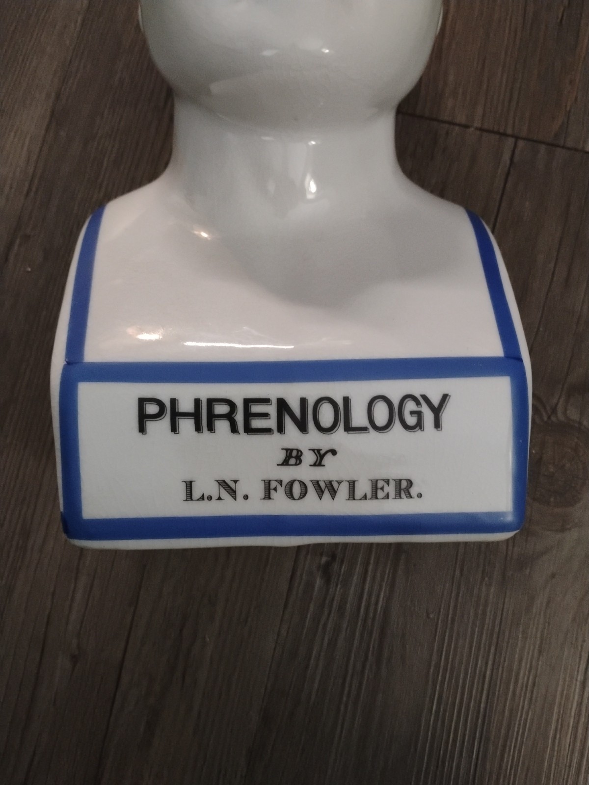 Phrenology Bust L.N. Fowler Scientific Psychology 12" Bank Ceramic Head
