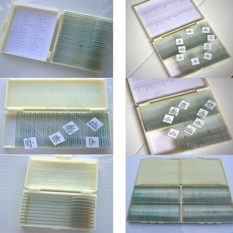 Prepared Microscope Slides Specimen Glass Set with Plastic Storage Box & Label