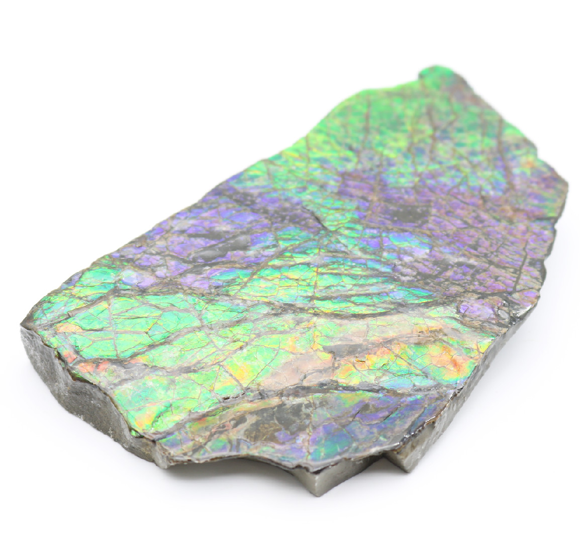 Stunning IRIDESCENT Fossil AMMOLITE Slab Reflective RAINBOW Mineral Specimen