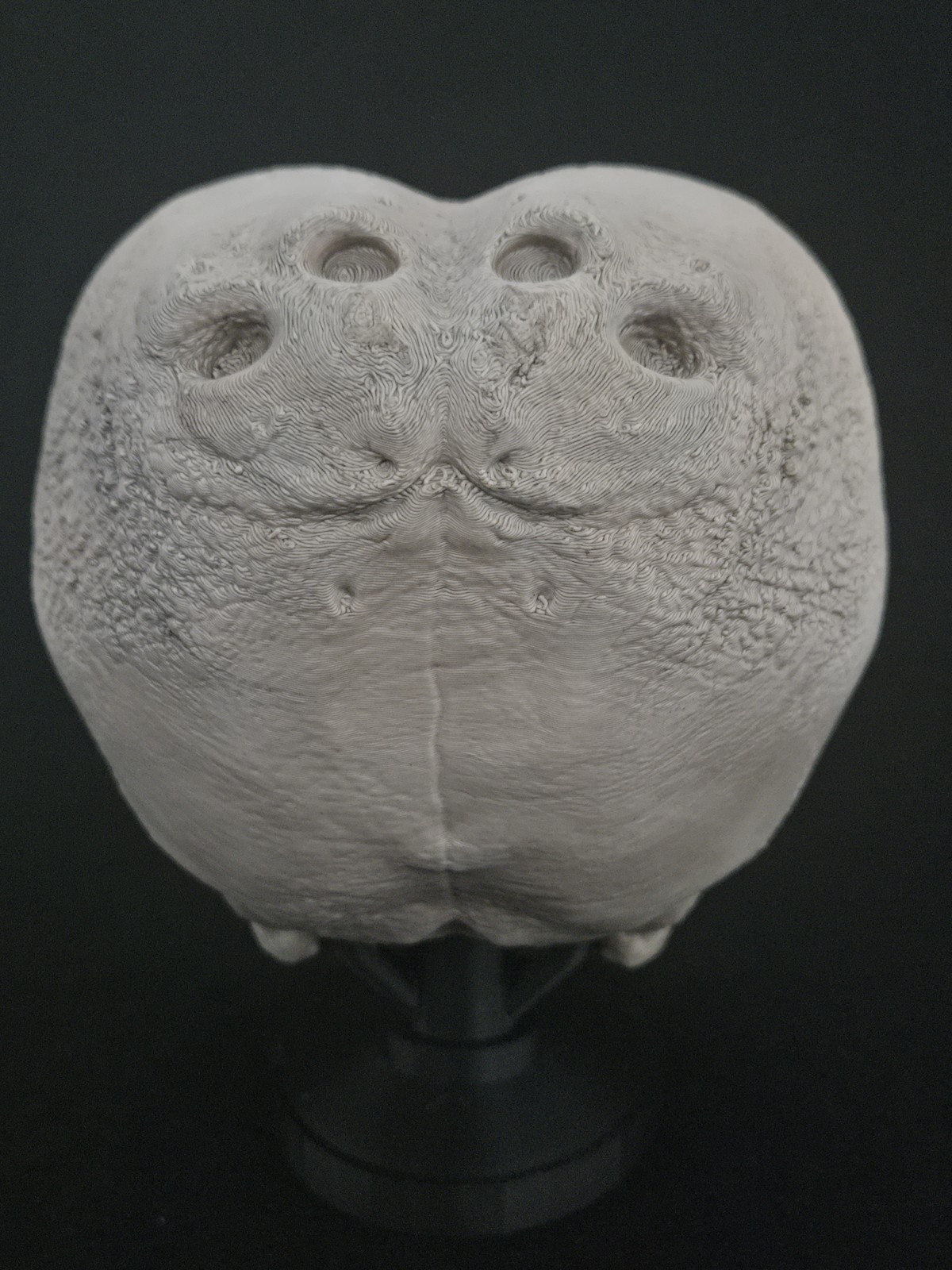 Alien Skull with stand - Realistic