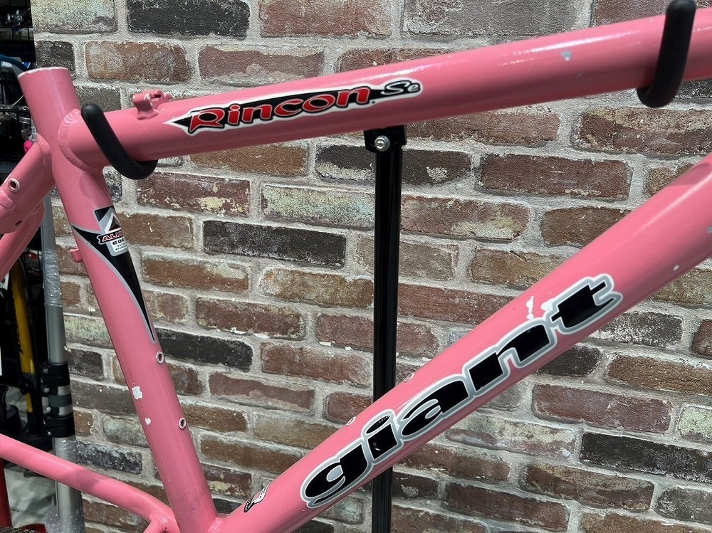 Giant Rincon SE MTB Frame 2000 Model As Is
