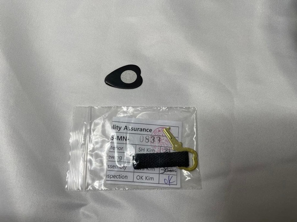 Shimada/Angel Mandolin Model:BN