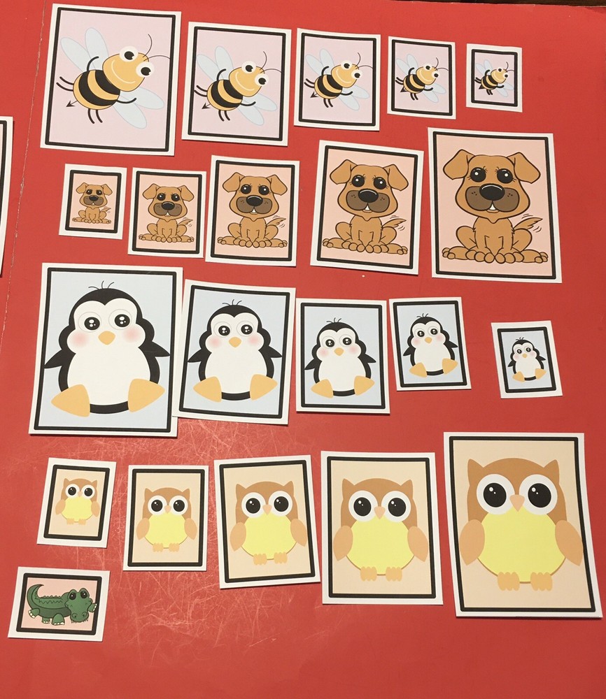 Laminated Sorting Cards - Size Sorting - 40 Cards Set
