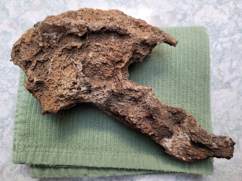 Unique Unknown rock formation (Alien Head Shape) 3lbs