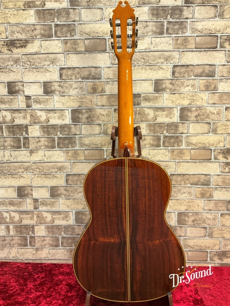 Juan Hernandez Maestro S, 2019 model.