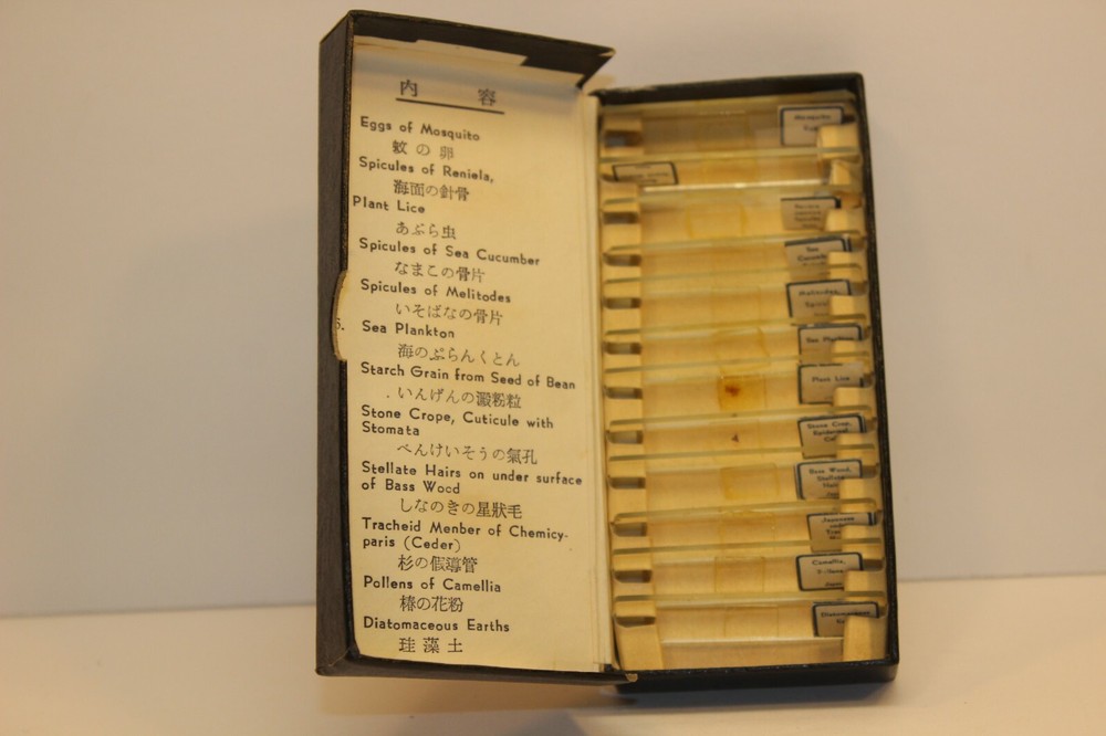 Vintage Vixen Mini Microscope 100x 200x 300x plus slides