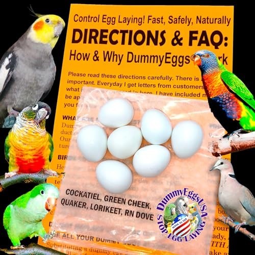 7 Cockatiel Dummy Bird Eggs - Stop Brooding & Laying! Solid Plastic Fake Eggs fo
