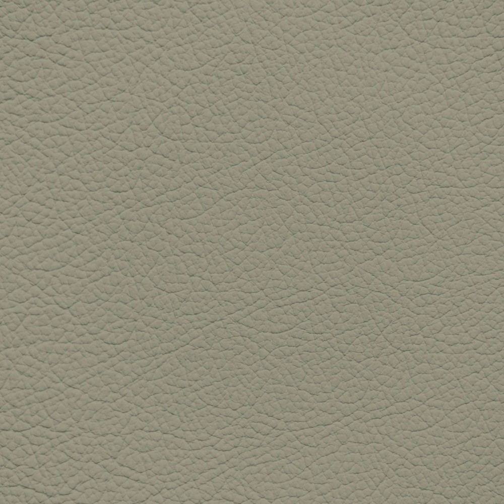 Jaguar Grey Beige Leather Dye