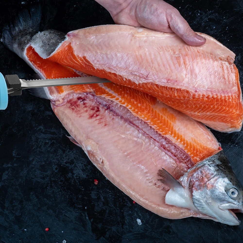 Cordless Electric Fillet Knife 8" 10" Stainless Steel Blade 2PC Batteries w/Case