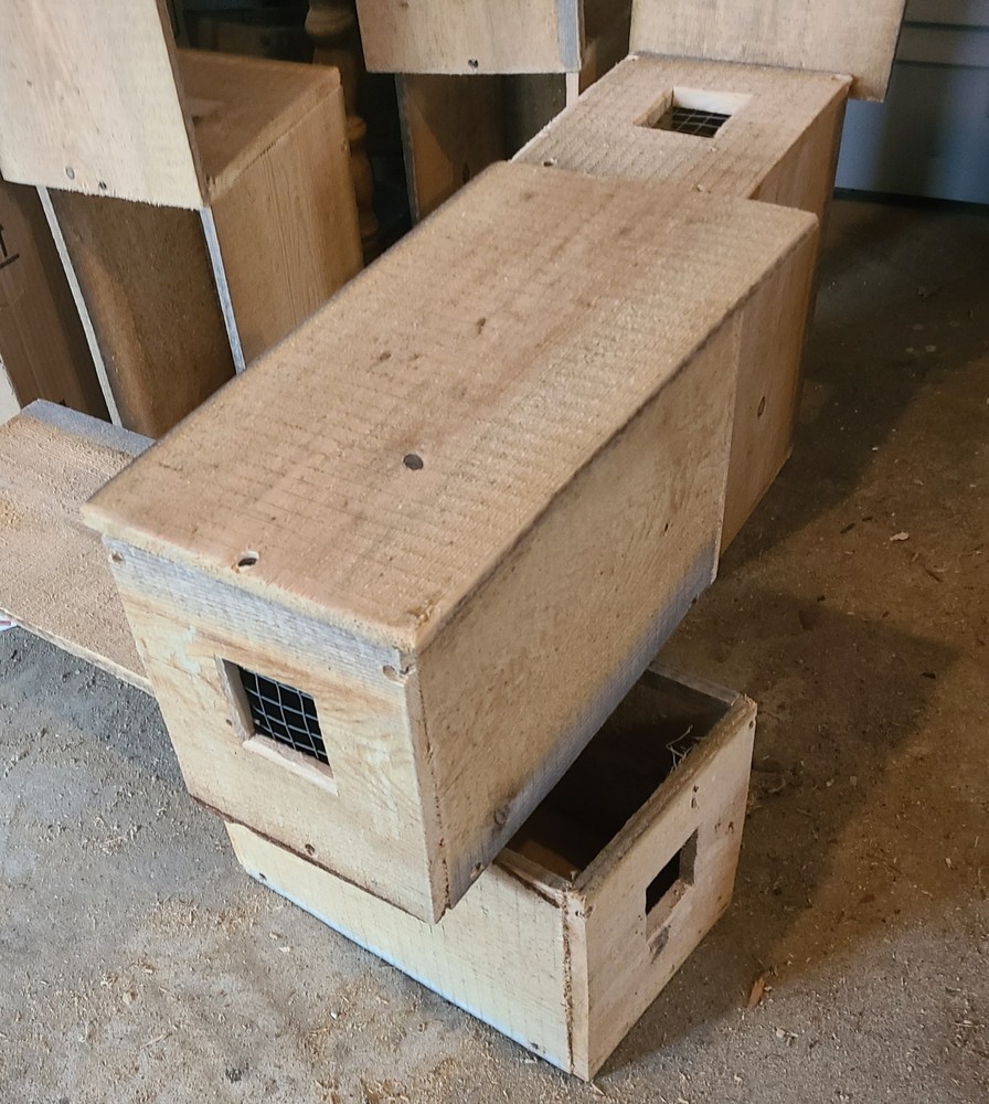 HILL TOP TRAPS WEASEL , RAT , MOUSE BOXES 2 PK