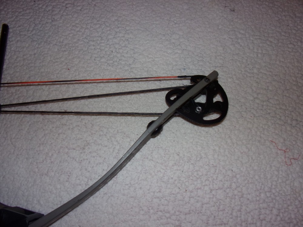 Proline Mount Compound Bow